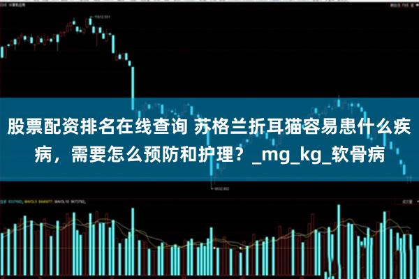 股票配资排名在线查询 苏格兰折耳猫容易患什么疾病，需要怎么预防和护理？_mg_kg_软骨病