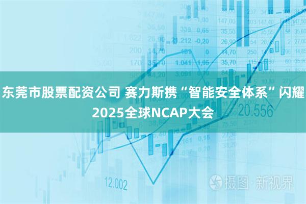 东莞市股票配资公司 赛力斯携“智能安全体系”闪耀2025全球NCAP大会